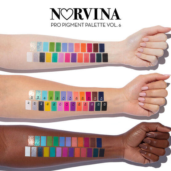 Paleta Multifuncional Norvina Pro Pigment Vol. 6